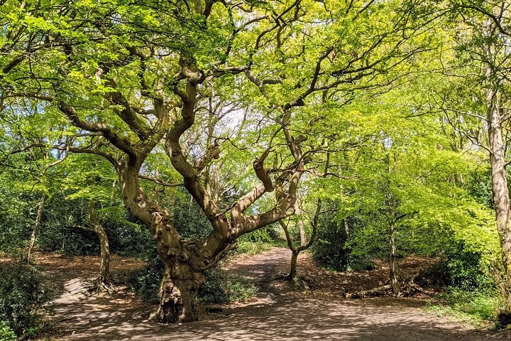 tolkien tour gallery 9